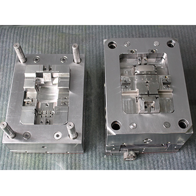Family Mold